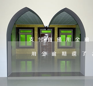 支付寶備用金逾期了還可以支付嗎(支付寶備用金逾期還了為什么不能用了)