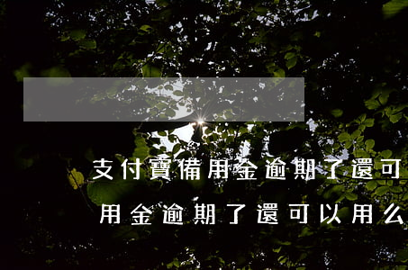 支付寶備用金逾期了還可以用么-支付寶備用金逾期了還可以用么嗎