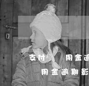 支付寶備用金逾期了還可以當兵嗎-支付寶備用金逾期影響買房嗎