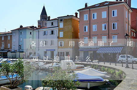 支付寶備用金逾期了還能用嗎(支付寶備用金可以逾期怎么辦)