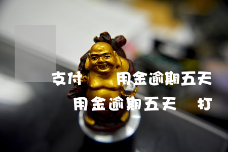 支付寶備用金逾期五天會打電話嗎-支付寶備用金逾期五天會打電話嗎是真的嗎