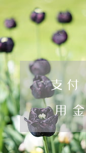 支付寶備用金逾期修復(fù)了(支付寶備用金逾期在哪里修復(fù))