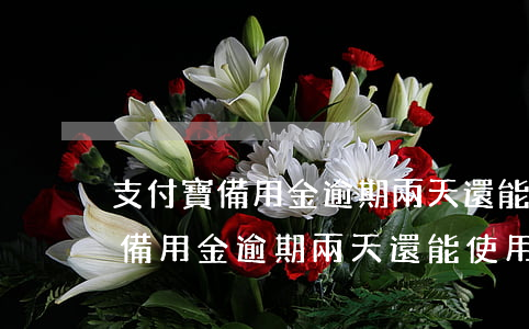 支付寶備用金逾期兩天還能使用嗎-支付寶備用金逾期兩天還能使用嗎?
