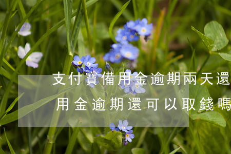 支付寶備用金逾期兩天還能再取么（支付寶備用金逾期還可以取錢嗎）