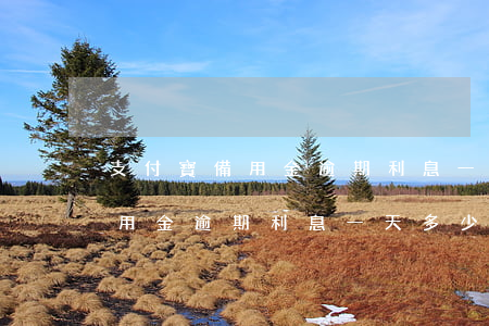 支付寶備用金逾期利息一天多少-支付寶備用金逾期利息一天多少?