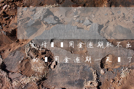 支付寶備用金逾期取不出來圖片-支付寶里的備用金逾期一天還了,現(xiàn)在取不出來怎么回事