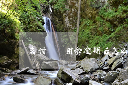 支付寶備用金逾期后怎么樣還款-