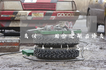 支付寶備用金逾期后悔(支付寶備用金逾期了會(huì)怎么樣?)