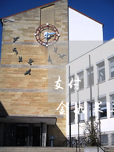 支付寶備用金逾期后有什么影響(支付寶備用金如果逾期幾天會(huì)有什么影響)