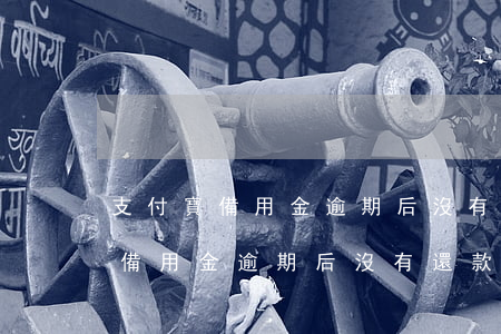 支付寶備用金逾期后沒有還款渠道-支付寶備用金逾期后沒有還款渠道怎么辦