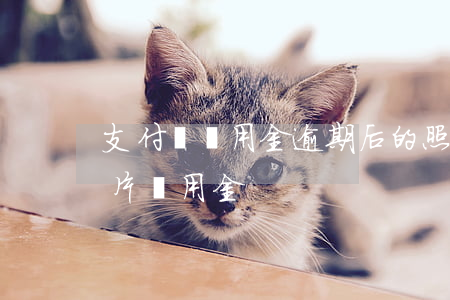 支付寶備用金逾期后的照片-支付寶逾期照片 備用金