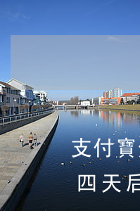 支付寶備用金逾期四天-支付寶備用金逾期四天后果嚴不嚴重?