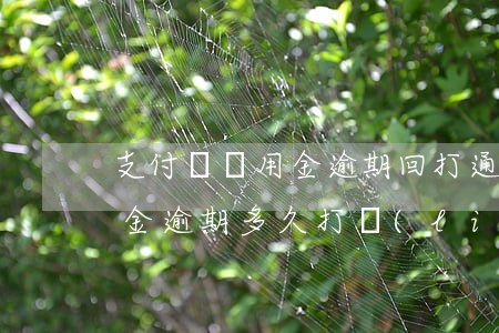 支付寶備用金逾期回打通訊錄嗎(支付寶備用金逾期多久打聯(lián)系人)
