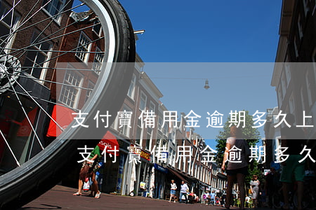支付寶備用金逾期多久上征信?后果有多嚴重（支付寶備用金逾期多久上征信）