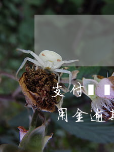 支付寶備用金逾期多久可以消除-支付寶備用金逾期多久可以消除記錄