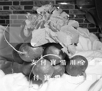 支付寶備用金逾期多久會(huì)起訴(支付寶備用金逾期起訴嗎)