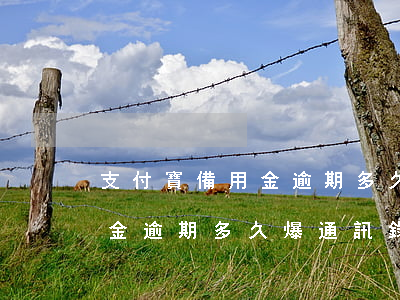 支付寶備用金逾期多久爆通訊錄（支付寶備用金逾期多久爆通訊錄）