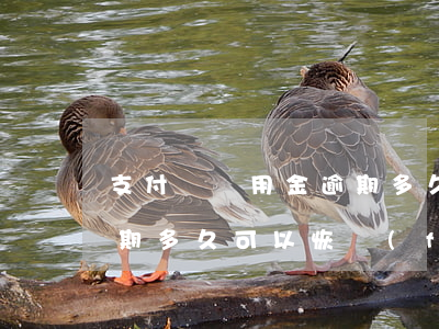 支付寶備用金逾期多久解凍(支付寶備用金逾期多久可以恢復(fù))