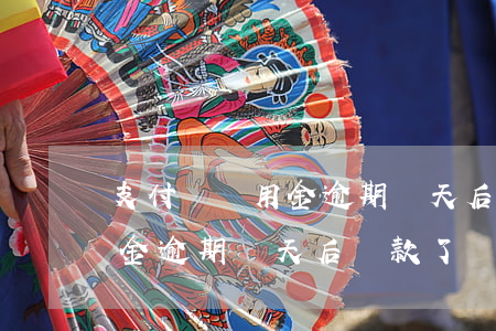 支付寶備用金逾期幾天后還款了 支付寶備用金逾期幾天后還款了