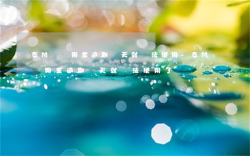 支付寶備用金逾期幾天就無法使用-支付寶備用金逾期幾天就無法使用了
