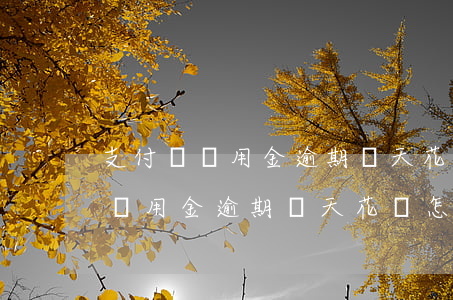 支付寶備用金逾期幾天花唄怎么辦-支付寶備用金逾期幾天花唄怎么辦啊