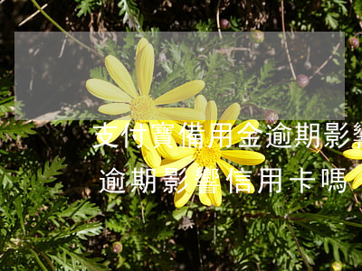 支付寶備用金逾期影響信用卡(支付寶備用金逾期影響信用卡嗎)