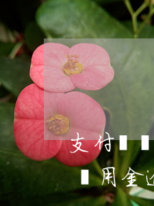 支付寶備用金逾期忘記還了怎么辦-支付寶備用金逾期忘記還了怎么辦呢