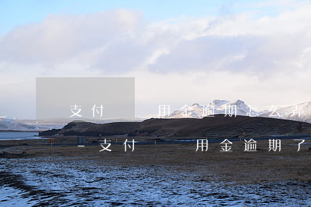 支付寶備用金逾期怎么弄可以恢復(fù)-支付寶備用金逾期了怎么修復(fù)?