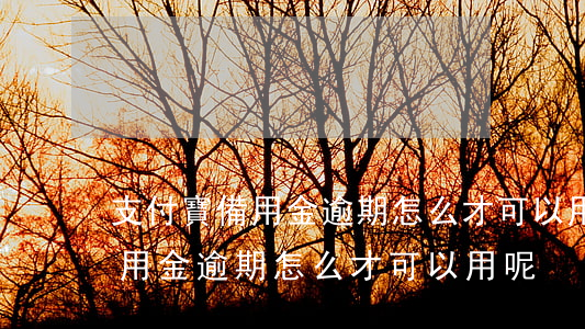 支付寶備用金逾期怎么才可以用-支付寶備用金逾期怎么才可以用呢