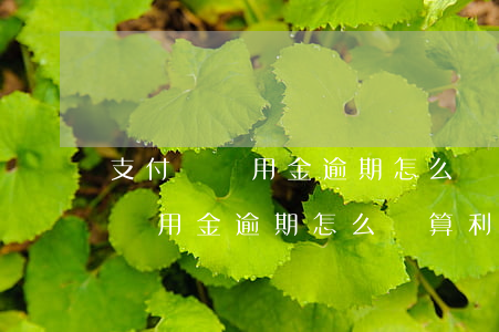 支付寶備用金逾期怎么計算利息的-支付寶備用金逾期怎么計算利息的呢