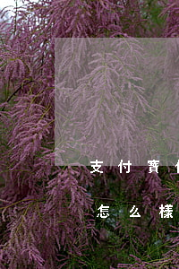 支付寶備用金逾期怎樣-支付寶備用金逾期怎么樣