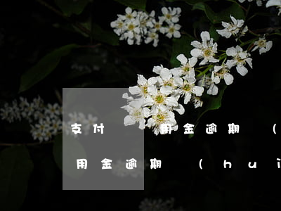 支付寶備用金逾期會(huì)上(支付寶備用金逾期會(huì)上傳征信嗎)