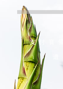 支付寶備用金逾期會(huì)不會(huì)遭到起訴-支付寶備用金逾期會(huì)不會(huì)遭到起訴呢