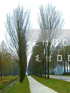 支付寶備用金逾期會(huì)有什么影響 支付寶備用金逾期幾天會(huì)有影響嗎