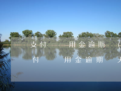 支付寶備用金逾期會(huì)罰款嗎-支付寶備用金逾期幾天后果嚴(yán)不嚴(yán)重?