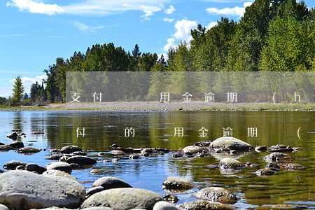 支付寶備用金逾期會(huì)起訴嘛-支付寶的備用金逾期會(huì)怎么樣
