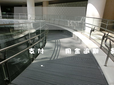 支付寶備用金逾期會影響當(dāng)兵嗎-