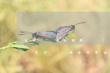 支付寶備用金逾期會產(chǎn)生利息嗎(支付寶備用金逾期后果是什么)