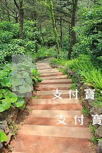 支付寶備用金逾期會自動(dòng)還嗎(支付寶備用金逾期一天還了還可以用嗎)