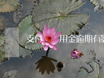 支付寶備用金逾期有影響嘛