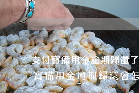 支付寶備用金逾期歸還了為什么不能用（支付寶備用金逾期歸還會怎樣）