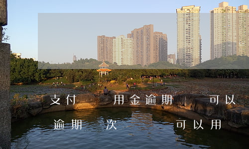支付寶備用金逾期歸還可以嗎(支付寶備用金逾期兩次歸還還可以用嗎)
