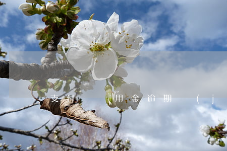 支付寶備用金逾期結(jié)清還有額度嗎