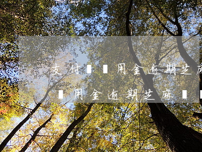 支付寶備用金逾期芝麻幾個月不漲-支付寶備用金逾期芝麻幾個月不漲額度