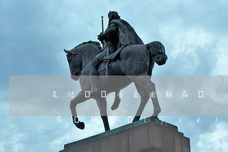 支付寶備用金逾期花唄-支付寶備用金逾期花唄被凍結(jié)了,怎么樣才可以解封