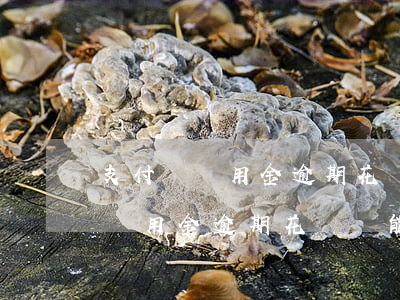 支付寶備用金逾期花唄還能不能用-支付寶備用金逾期花唄還能不能用了