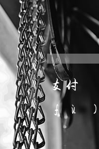 支付寶備用金逾期被停會(huì)恢復(fù)嗎-支付寶備用金逾期被停會(huì)恢復(fù)嗎安全嗎