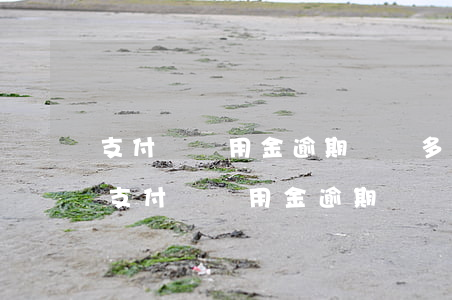 支付寶備用金逾期讓鎖多久恢復(fù)-支付寶備用金逾期讓鎖多久恢復(fù)使用