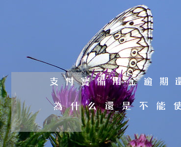 支付寶備用金逾期還不上 支付寶逾期已還清為什么還是不能使用備用金