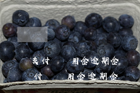 支付寶備用金逾期金額會(huì)漲嗎 支付寶備用金逾期金額會(huì)漲嗎